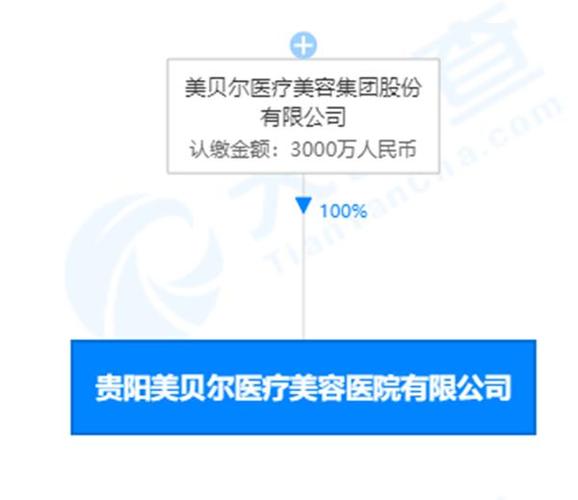 贵阳美贝尔医疗美容医院发布"含有治疗功效广告用语"等被罚15万 企业
