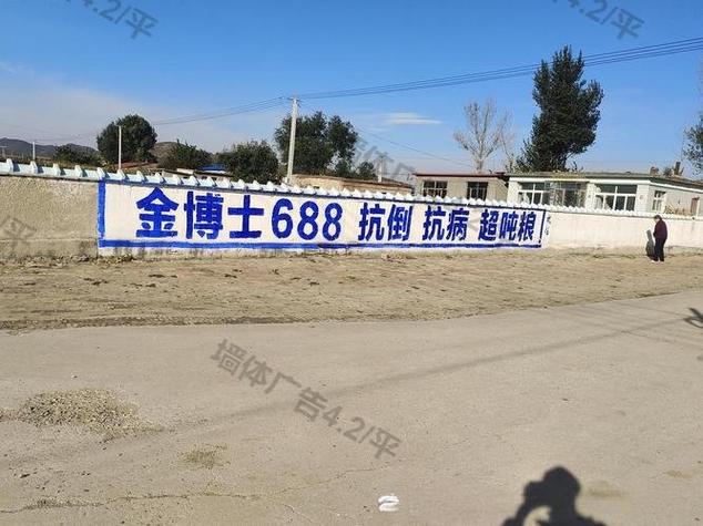 丹东墙体广告发布4.2元一平130